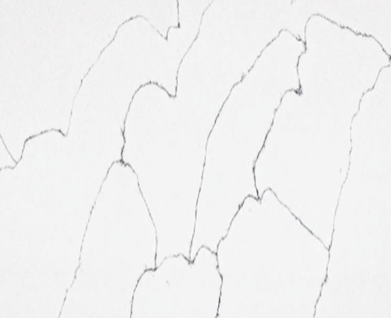 69d90618467861775830552.png