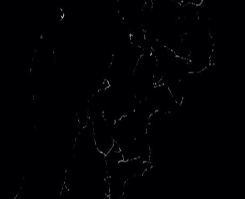 69d906f5bb7ca1775830773.png